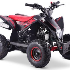 QUADRICICLO 90CC 4T AVALANCHE FUN MOTORS