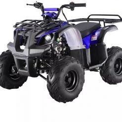 Quadriciclo 250cc (somente encomenda)