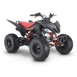 QUADRICICLO 125cc FUN MOTORS(somente encomenda)
