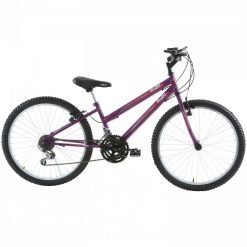 Bicicleta aro 24 MTB 18 marchas Feminina South